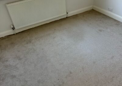 adams removal services gallery 10